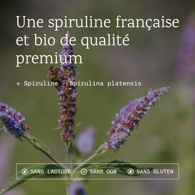 Graines de chia