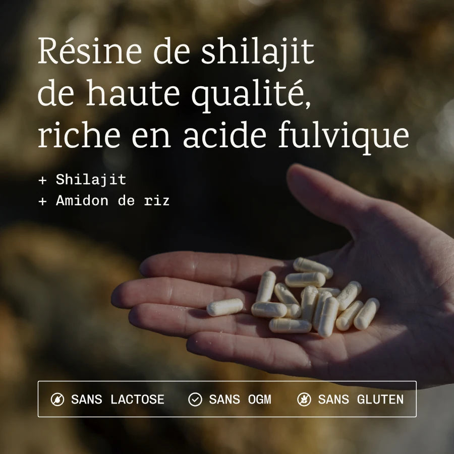 Shilajit de l'Himalaya