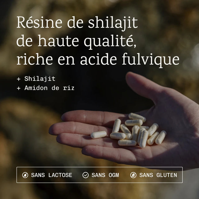 Shilajit de l'Himalaya
