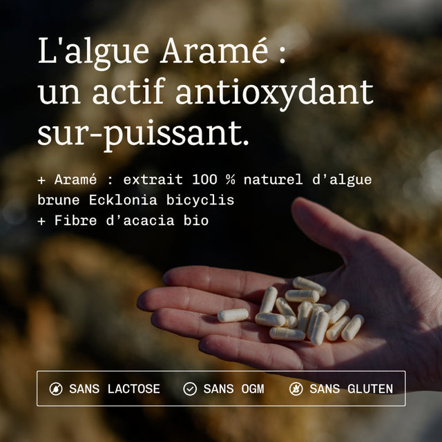 Antioxydant Aramé