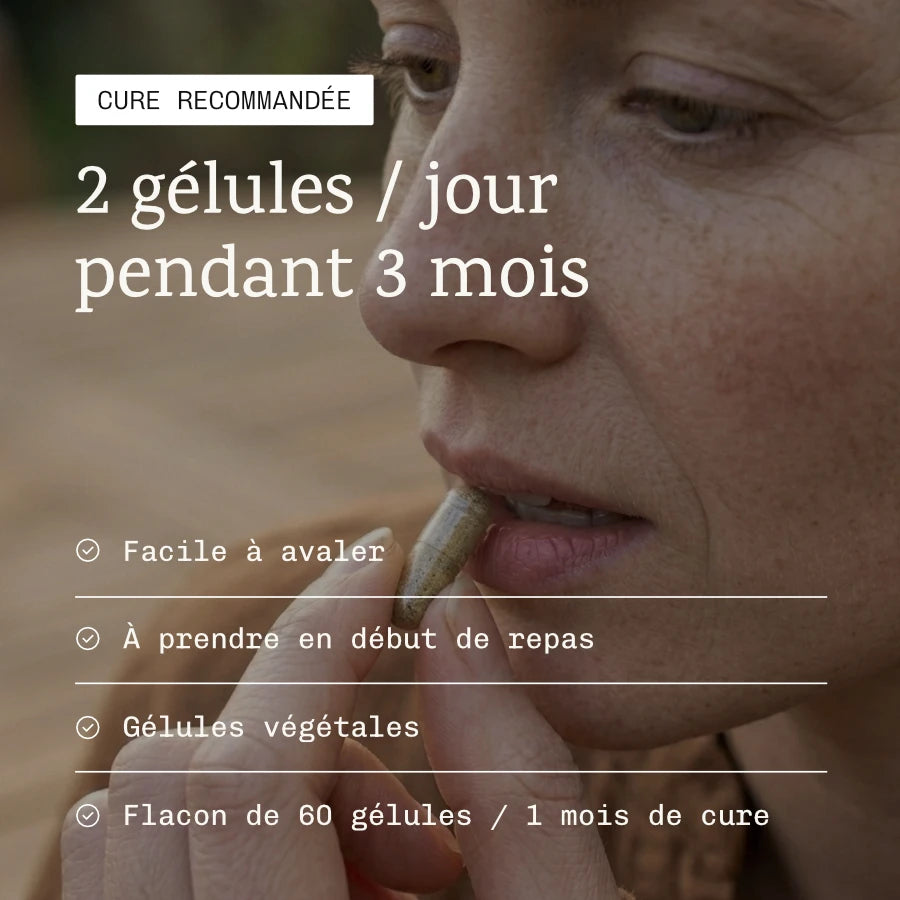 Ménobelle