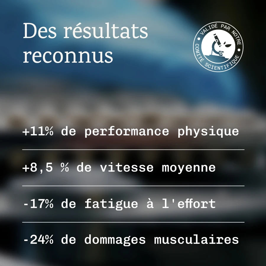 Sport perf