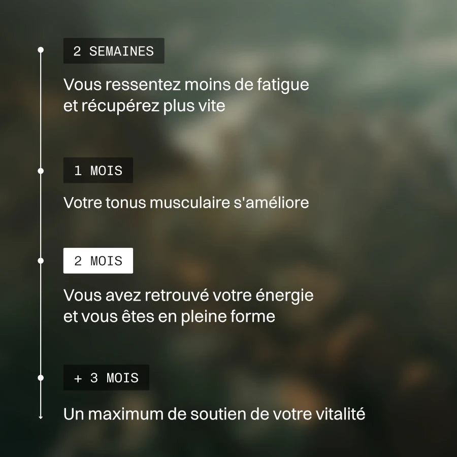 Spiruline Française BIO