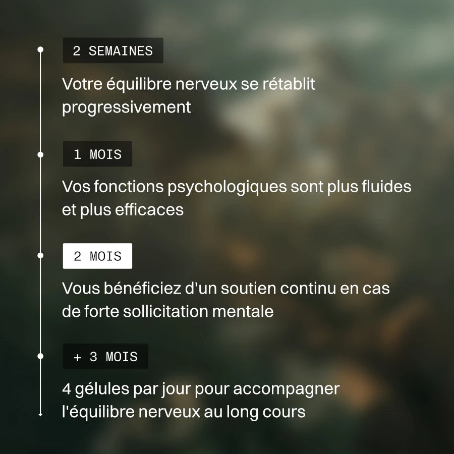 Magnésium L-thréonate : Magtein®