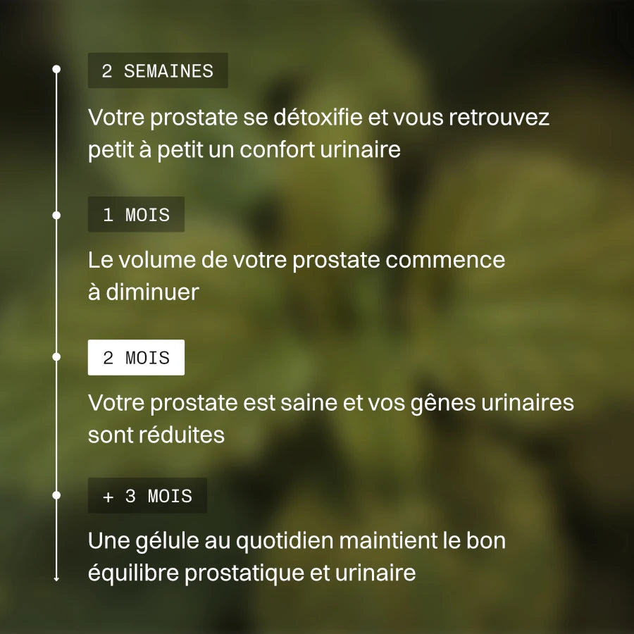 Prosta+
