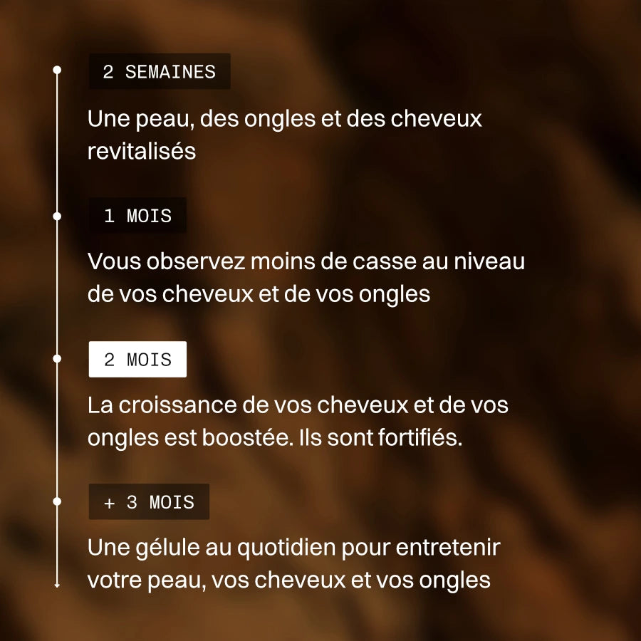 Synergie Cheveux