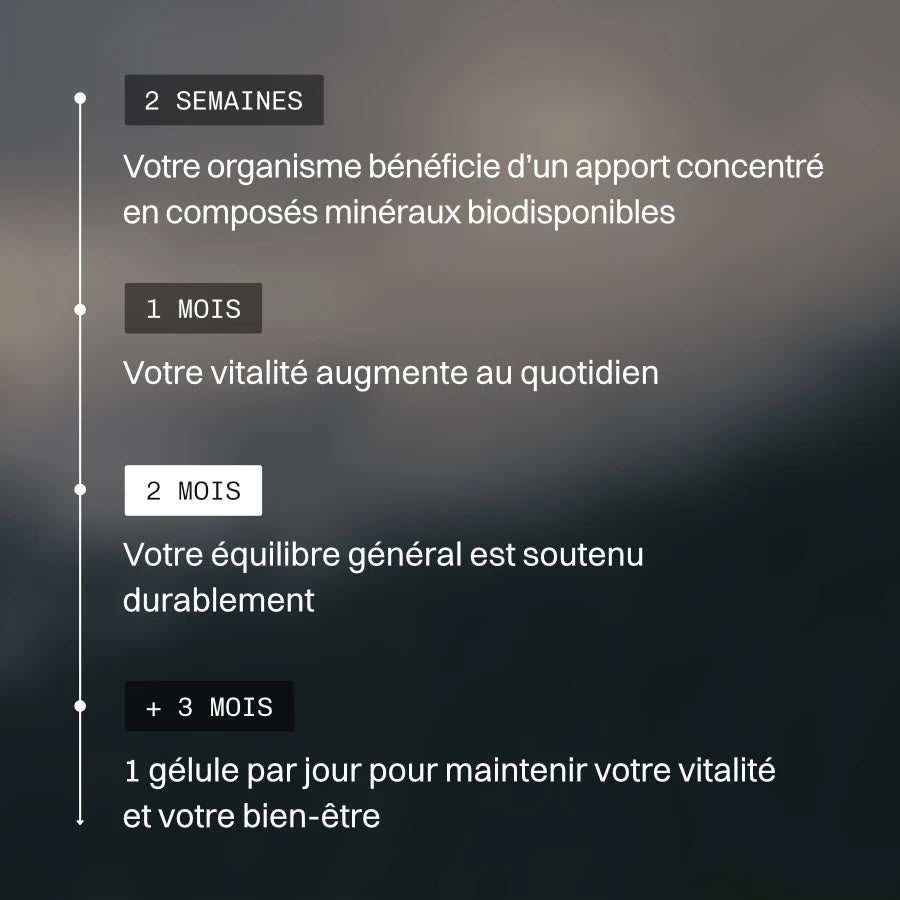 Shilajit de l'Himalaya