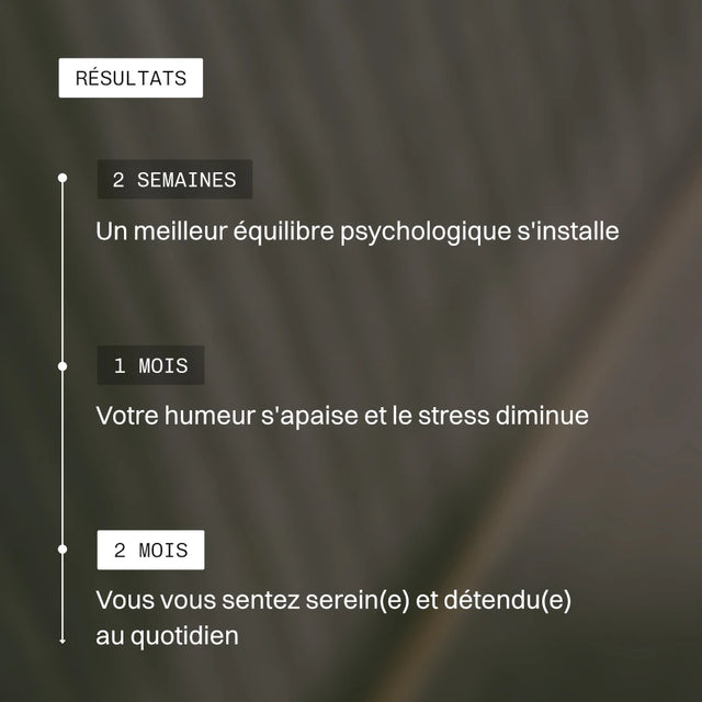 Pack Stress