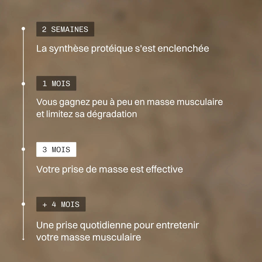 Peptiway protéines végétales