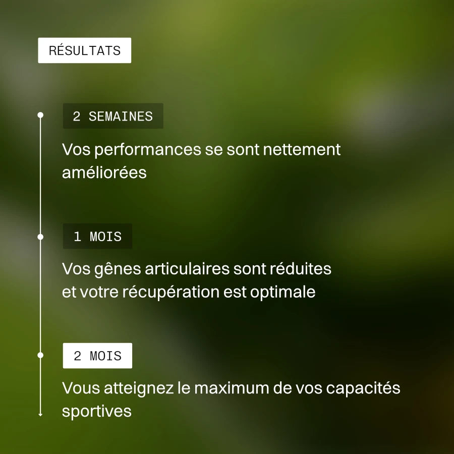 Pack Performance Sportive