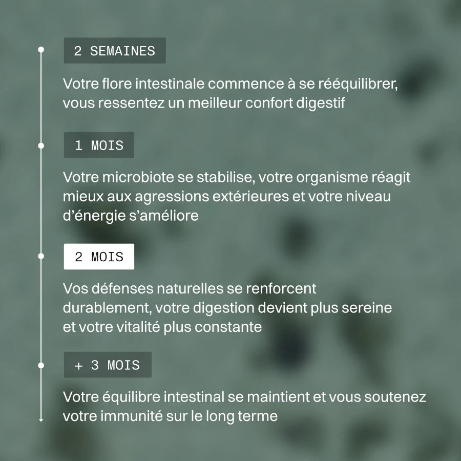 Pack Digestion / Immunité