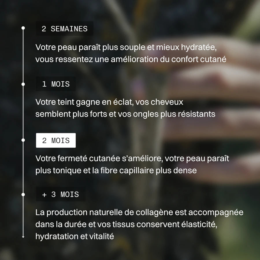Pack Beauté