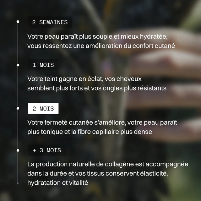 Pack Beauté