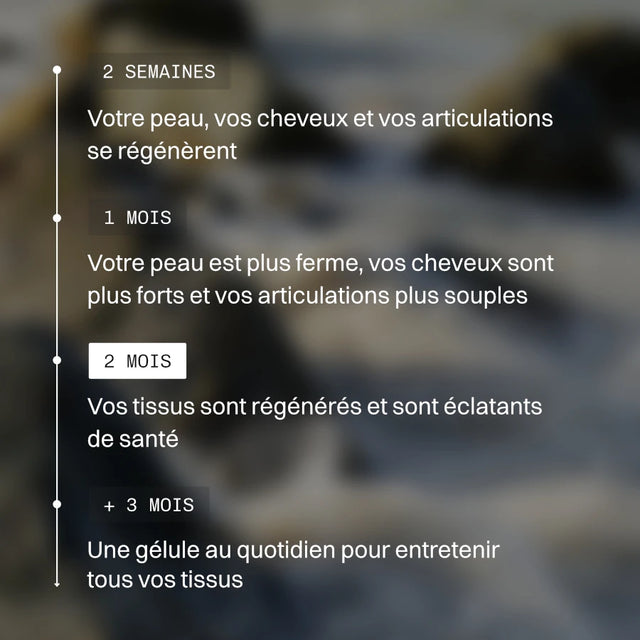 Multi Collagène