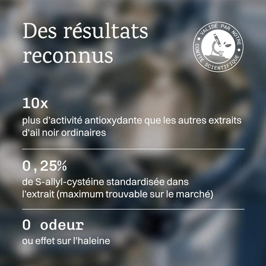 Ail Noir  fermenté