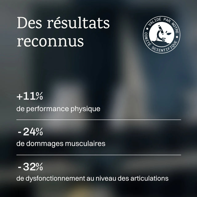 Pack Performance Sportive