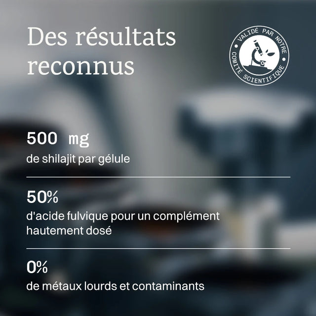 Shilajit de l'Himalaya