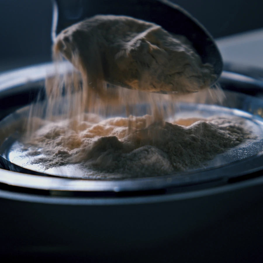 Shilajit de l'Himalaya