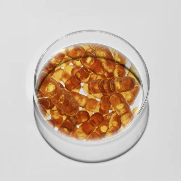 Lactobacillus reuteri