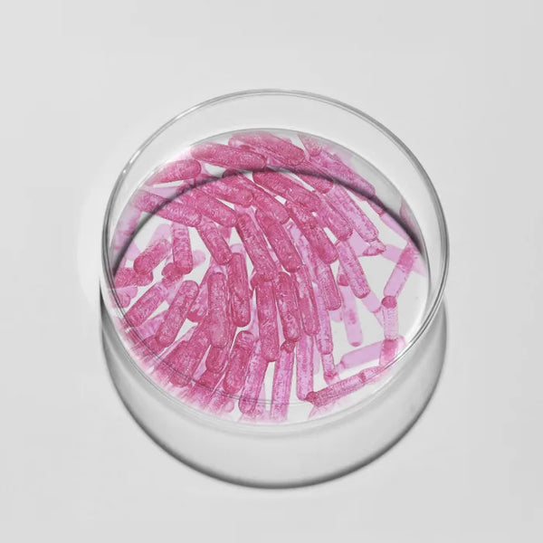 Lactobacillus rhamnosus