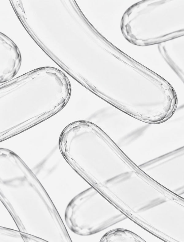 LACTOBACILLUS CASEI