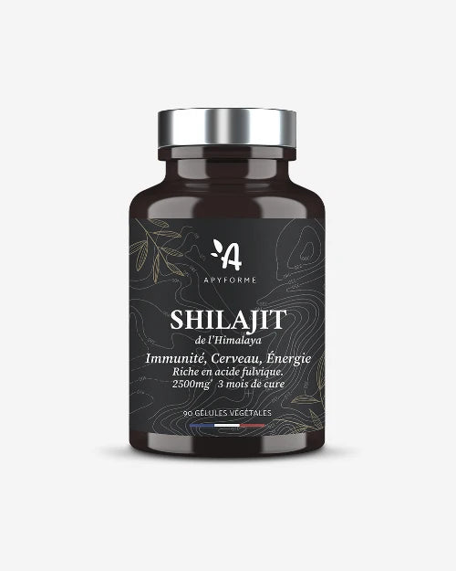 Shilajit de l'Himalaya