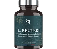 L. Reuteri